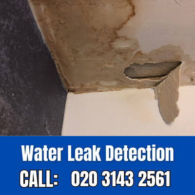 Expert Water Leak Detection Services in Olympic Park | Olympic Park Leak Detection